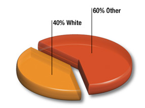 40% White : 60% Other